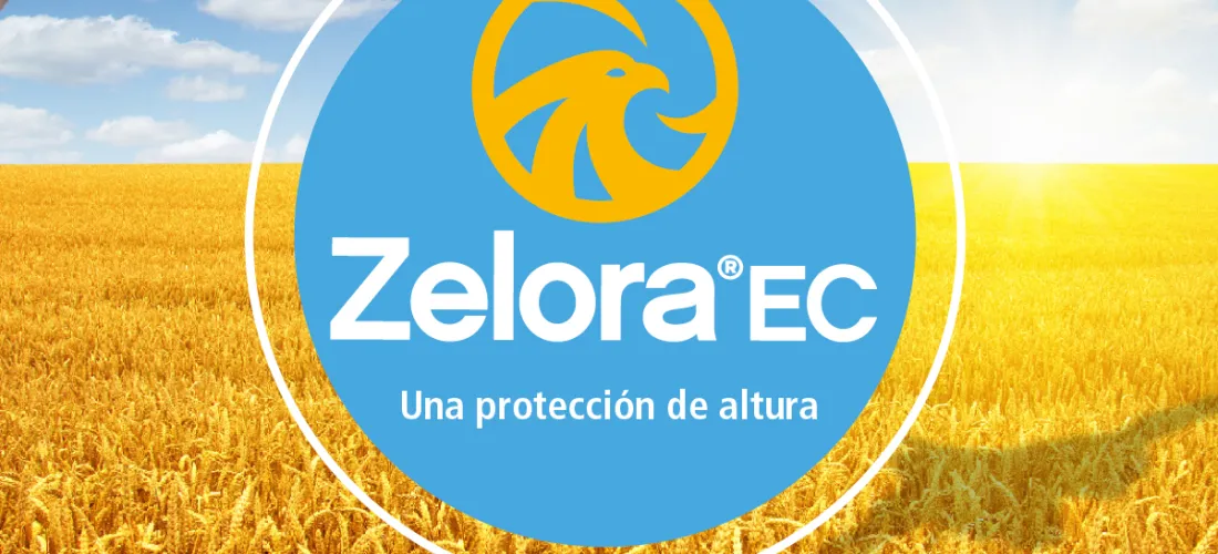 Zelora® EC,  el fungicida de acción sistémica para el cultivo de trigo y cebada