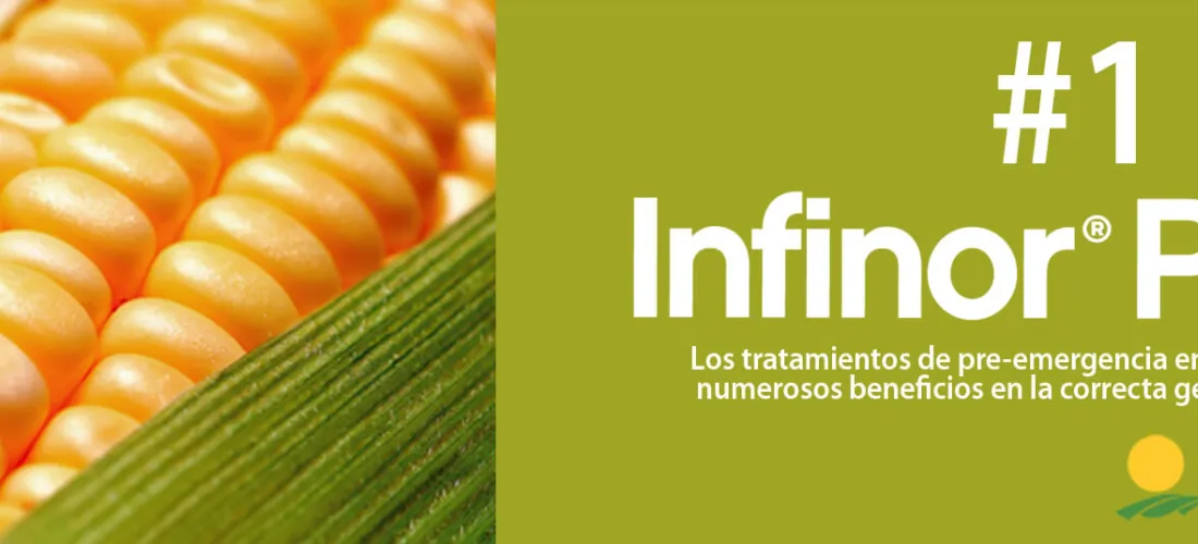 #Infinorpills1: Los tratamientos de pre-emergencia en maíz representan numerosos beneficios en la correcta gestión del cultivo