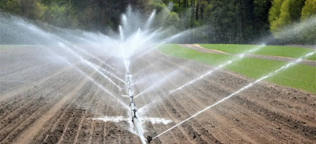 Gestión del agua en cultivos, el futuro de la agricultura de regadío