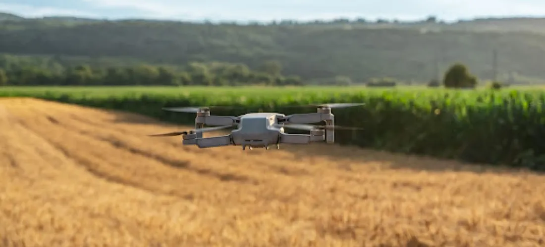 ¿Qué se puede hacer con un dron en la agricultura?