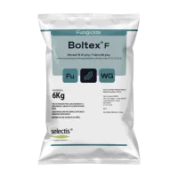 Mockup Boltex F