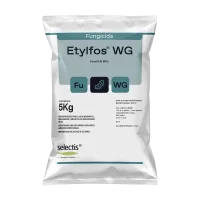 Mockup Etylfos WG