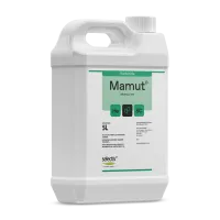 Mockup Mamut