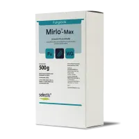 mockup_mirlomax