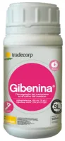 Gibenina