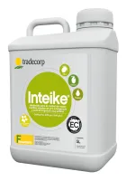 Inteike