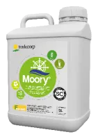 Moory