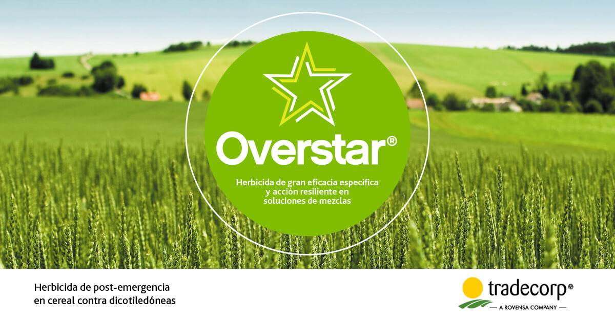 Overstar®, el fitosanitario de alta eficacia contra malas hierbas de hoja ancha en el cultivo de cereal