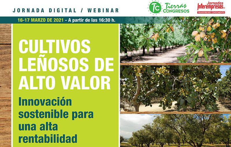 Claves en la innovación sostenible y la rentabilidad en el cultivo de leñosos