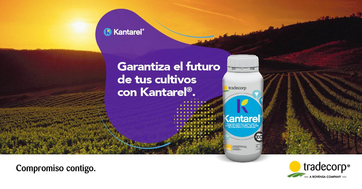 Kantarel®, la solución de Tradecorp “para dominar con fuerza” al oídio en viña