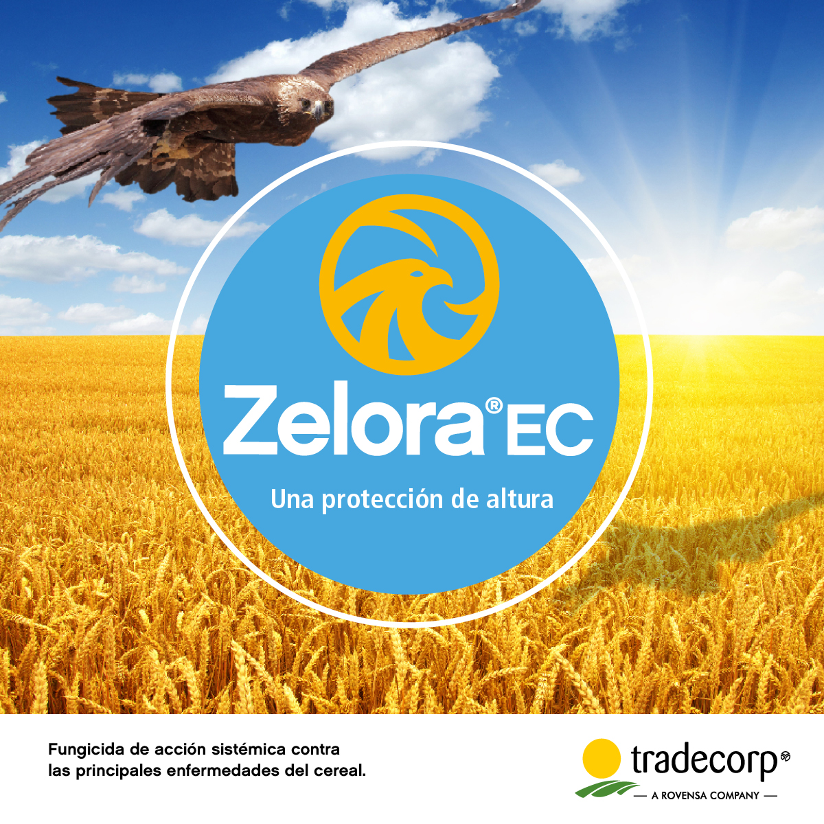 Zelora® EC,  el fungicida de acción sistémica para el cultivo de trigo y cebada