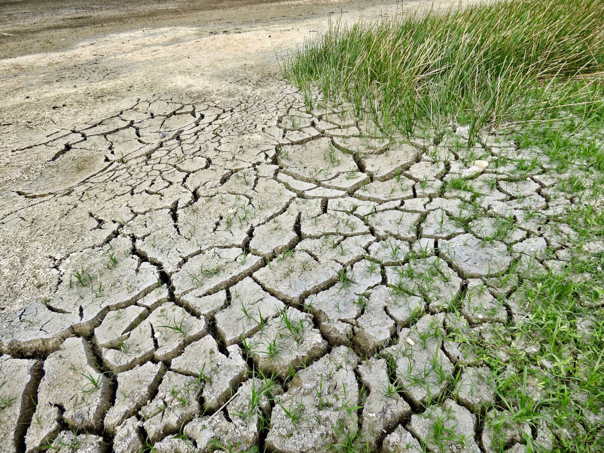 Los expertos coinciden en la necesidad de que la agricultura se adapte a una nueva climatología más adversa