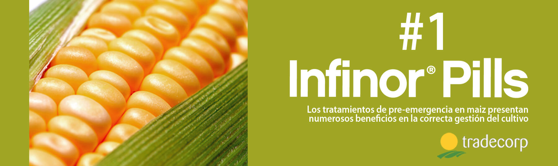 #Infinorpills1: Los tratamientos de pre-emergencia en maíz representan numerosos beneficios en la correcta gestión del cultivo