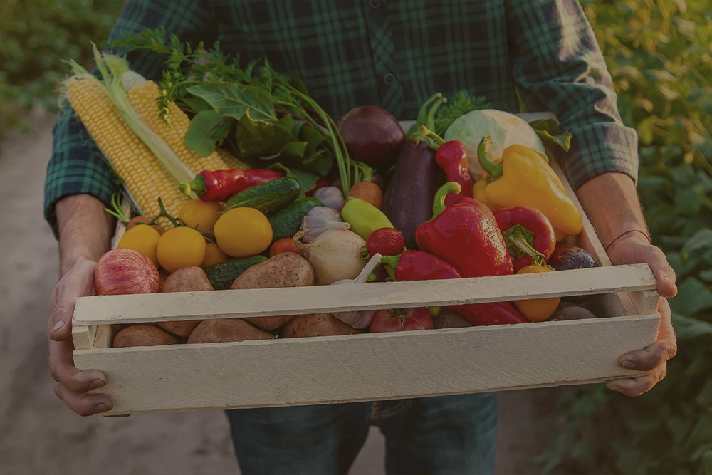 Soluciones para crecer frente al aumento de la demanda de los alimentos