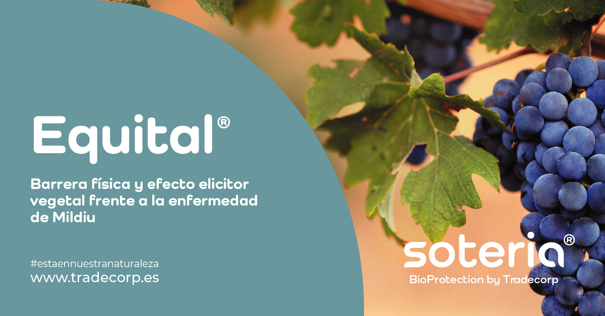 Equital®, nuestro bioprotector contra mildiu dentro de la gama Soteria