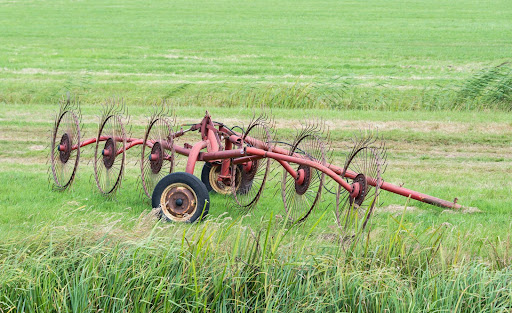 Tipos de agricultura tradicional