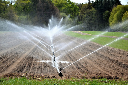 Gestión del agua en cultivos, el futuro de la agricultura de regadío